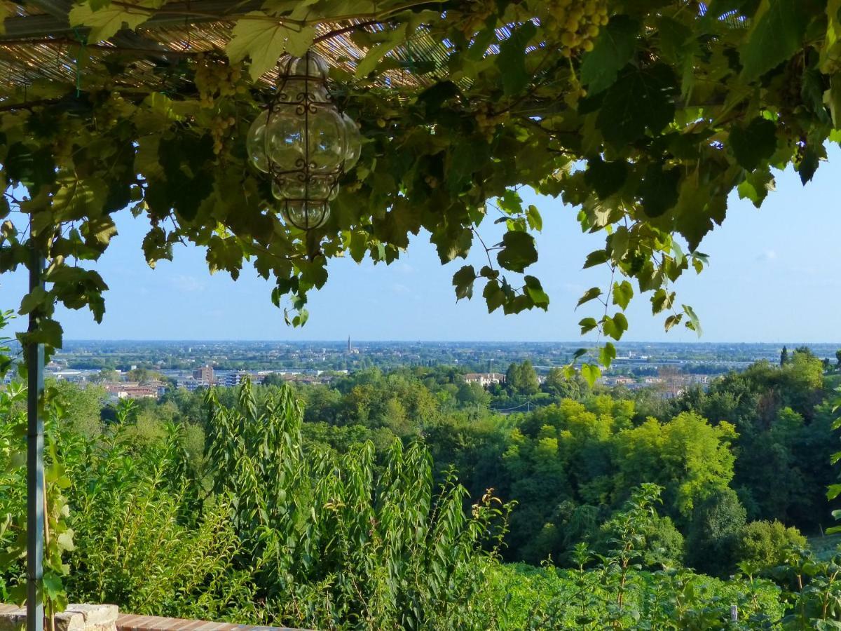 Podere Di Costabella Conegliano Exterior foto